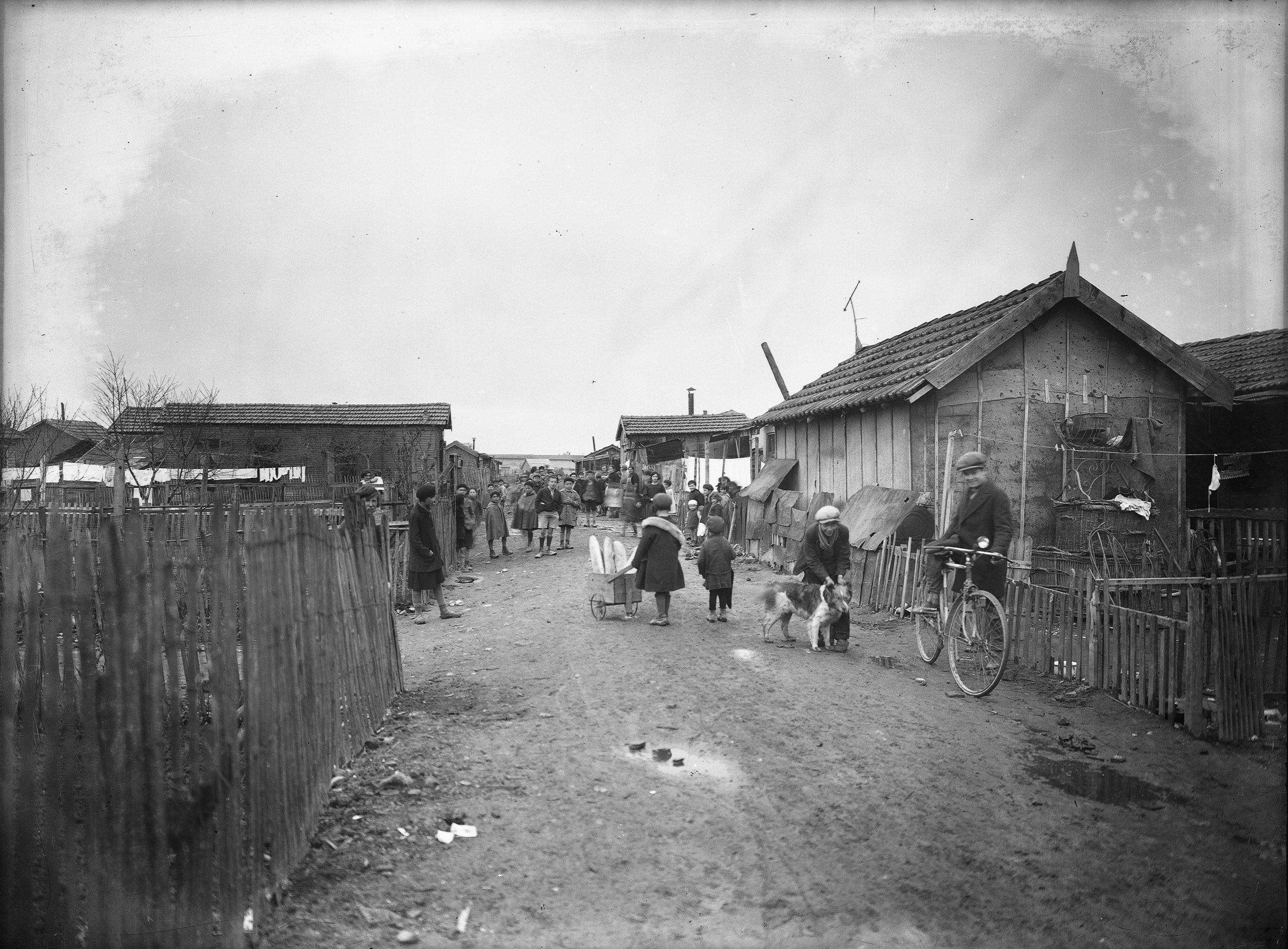 Baraques des poulettes Villeurbanne